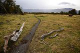 201203031030-AJS_7726.jpg